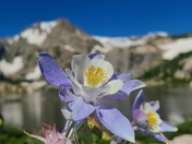 Rocky Mountain National Park