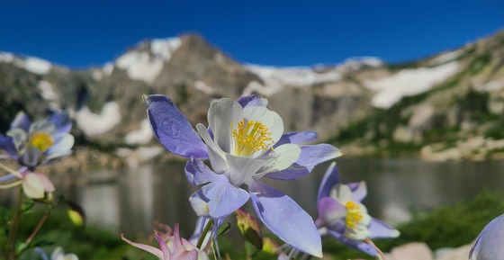 Rocky Mountain National Park