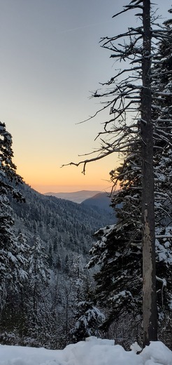 Great Smoky Mountain National Park 