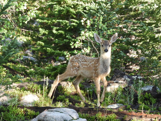 Rocky Mountain National Park