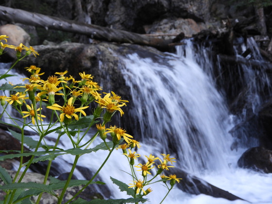 Rocky Mountain National Park