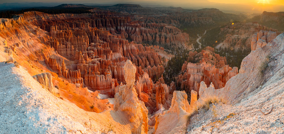 Bryce