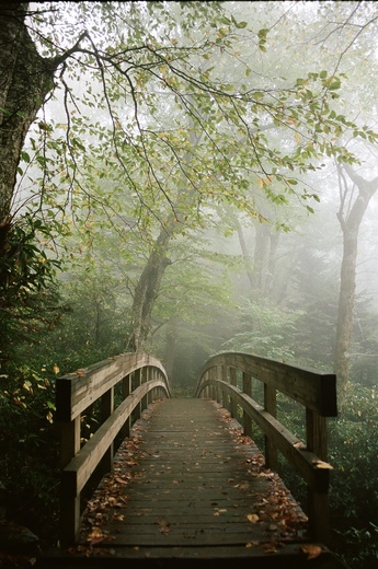 Blue Ridge Parkway 