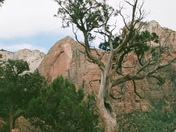 Zion National Park