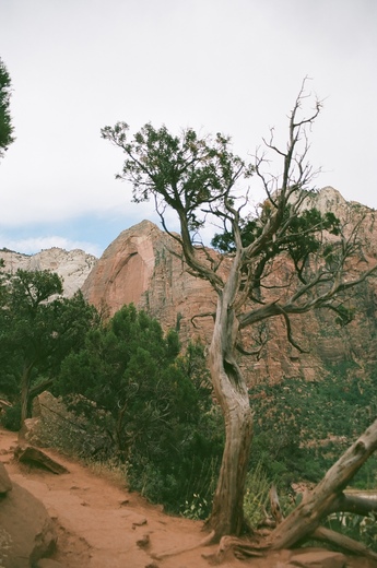 Zion National Park