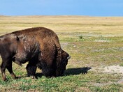 Badlands National Park