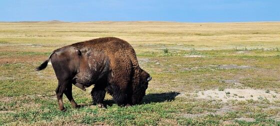 Badlands National Park