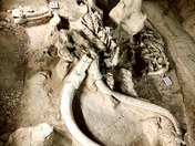 Waco Mammoth National Monument