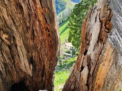 Bridger-Teton National Forest