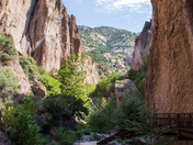 Gila National Forest