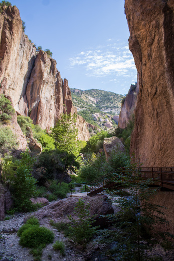 Gila National Forest