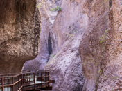 Gila National Forest