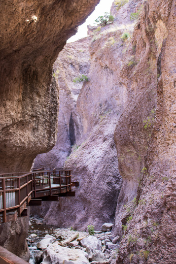 Gila National Forest