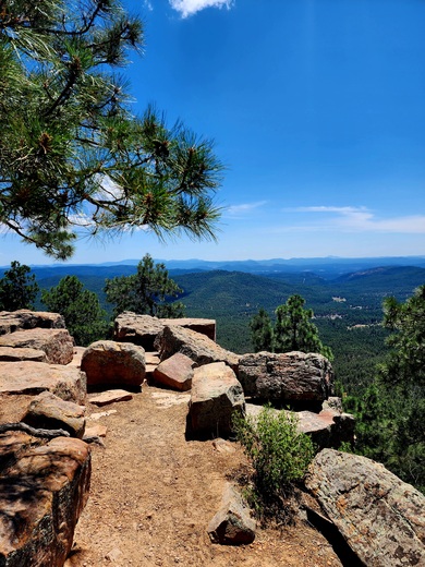 Tonto National Forest