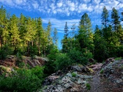 Tonto National Forest