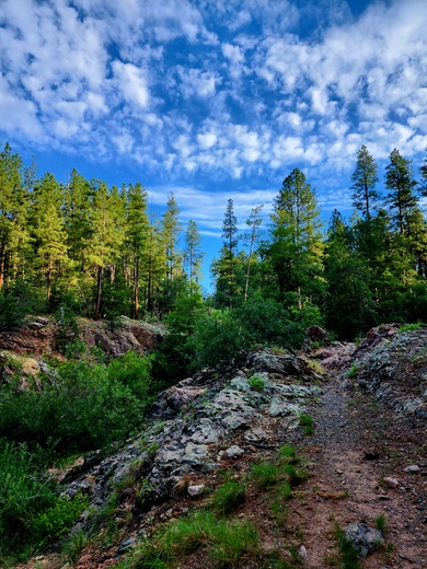 Tonto National Forest