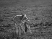 Point Reyes National Seashore