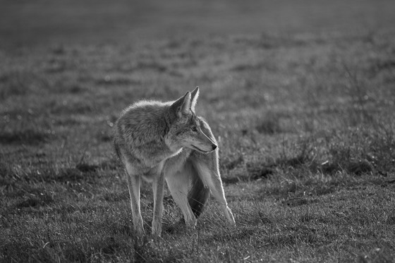 Point Reyes National Seashore
