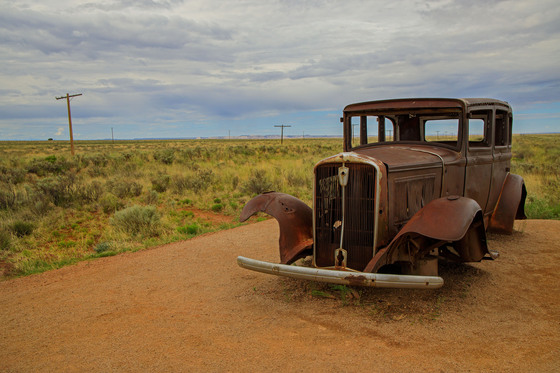 Petrified Forest National Park