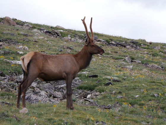 Rocky Mountain National Park