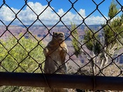 Grand Canyon National Park