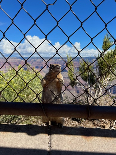 Grand Canyon National Park