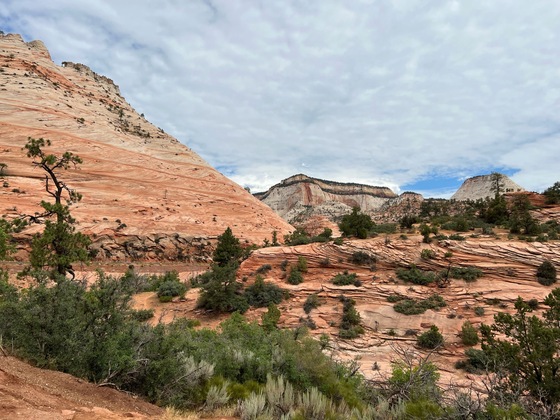 Zion National Park