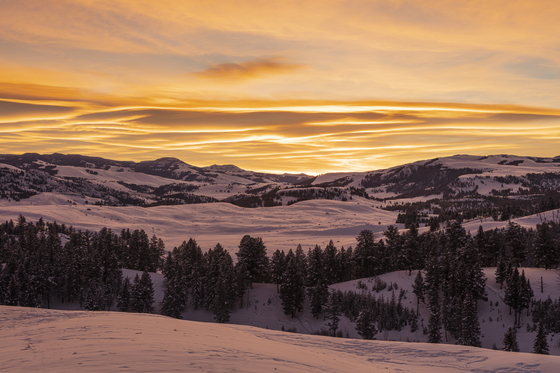 Yellowstone National Park