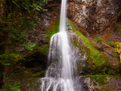 Olympic National Park