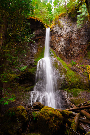Olympic National Park