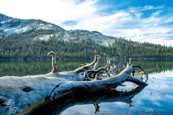 Yosemite National Park