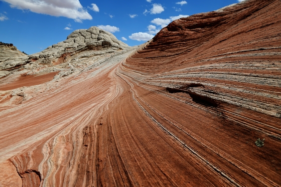 White Pocket, Vermilion Cliffs National Monument