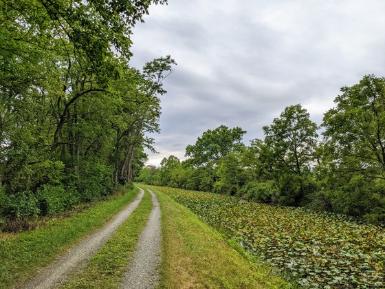 Chesapeake & Ohio Canal National Historical Park
