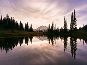 Mt. Rainier National Park