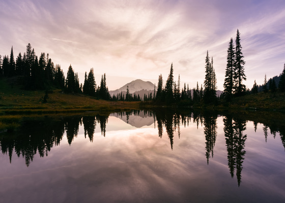 Mt. Rainier National Park