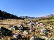 Ashley National Forest