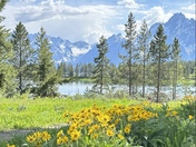 Grand Tetons