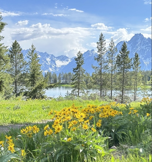 Grand Tetons
