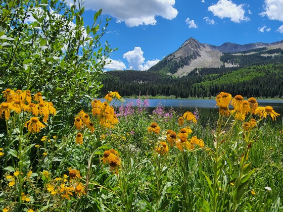 Three Lakes Trail - Grand Mesa Uncompahgre and Gunnison National Forests
