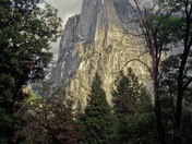 Yosemite National Park