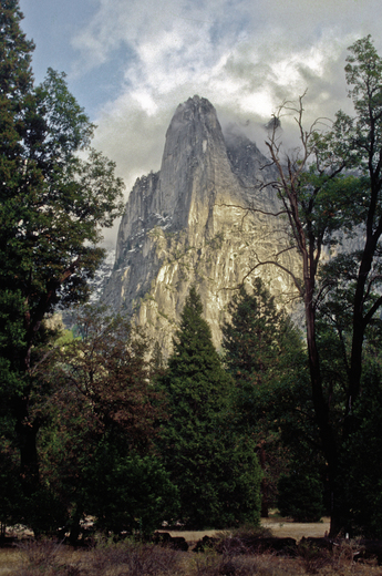 Yosemite National Park