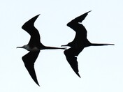 Aransas National Wildlife Refuge