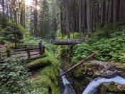 Olympic National Park