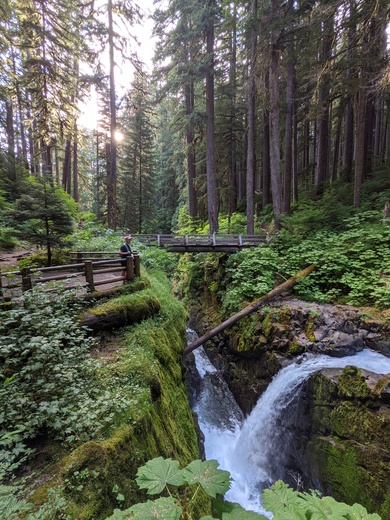 Olympic National Park
