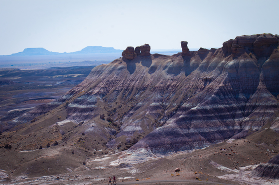 Petrified Forest National Park