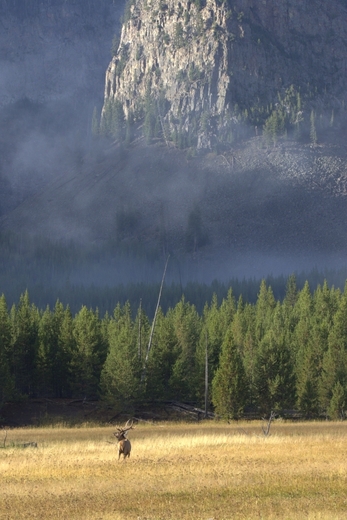 Yellowstone National Park