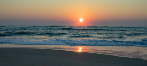 Cape Hatteras National Seashore 