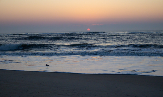 Cape Hatteras National Seashore 