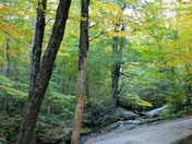 Shenandoah National Park