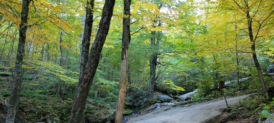 Shenandoah National Park